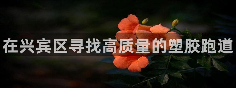 谈球吧体育：在兴宾区寻找高质量的塑胶跑道