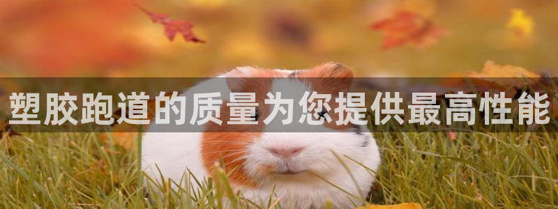 谈球吧的聊天软件下载：塑胶跑道的质量为您提供最高性能