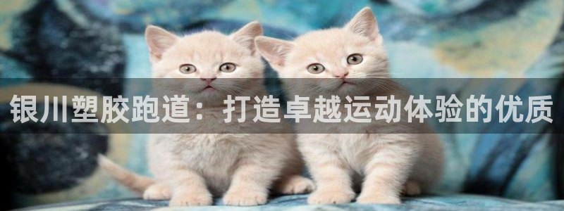谈球吧体育app下载足球比赛：银川塑胶跑道：打造卓越运动体验的优质