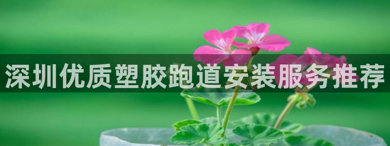 谈球吧app下载：深圳优质塑胶跑道安装服务推荐