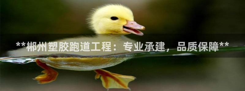 谈球吧下载：**郴州塑胶跑道工程：专业承建，品质保障**