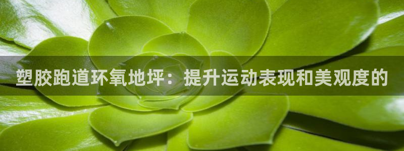 谈球吧体育app下载官网安卓：塑胶跑道环氧地坪：提升运动表现和美观度的
