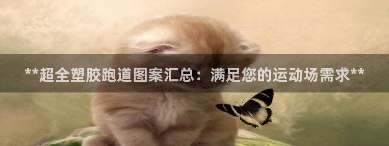 谈球吧网站：**超全塑胶跑道图案汇总：满足您的运动场需求**
