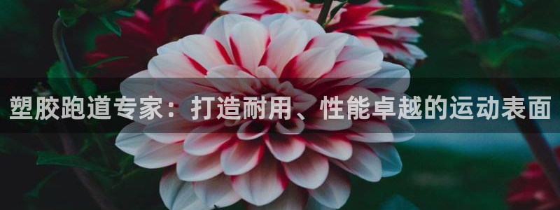 谈球吧体育app登陆不上：塑胶跑道专家：打造耐用、性能卓越的运动表面