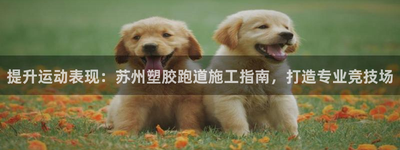 谈球吧被黑不给提现：提升运动表现：苏州塑胶跑道施工指