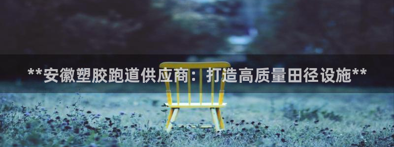 谈球吧的聊天软件是什么：**安徽塑胶跑道供应商：打造