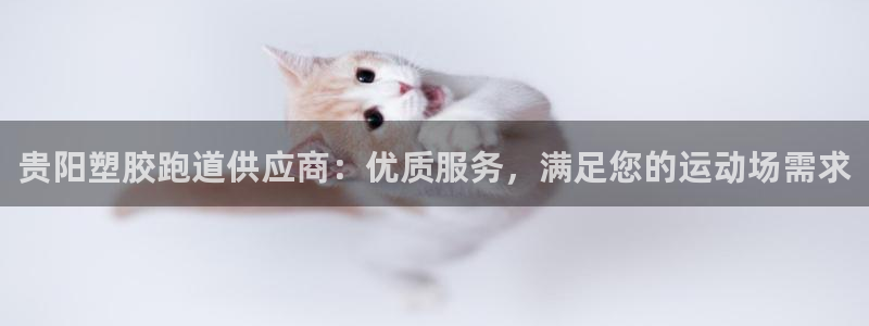 谈球吧官网首页：贵阳塑胶跑道供应商：优质服务，满足您