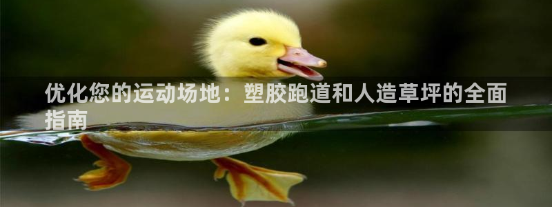 谈球吧出款：优化您的运动场地：塑胶跑道和人造草坪的全面
指南