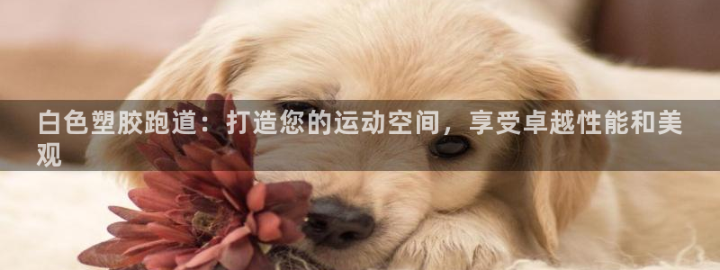 谈球吧的聊天软件下载：白色塑胶跑道：打造您的运动空间，享受卓越性能和美
观