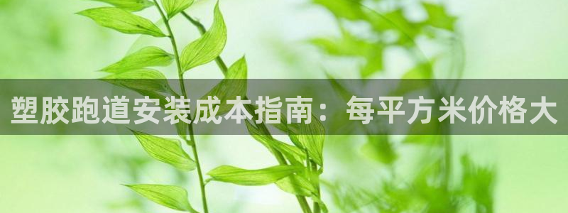 谈球吧平台正规吗可信吗安全吗：塑胶跑道安装成本指南：每平方米价格大