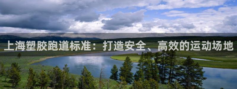 谈球吧App：上海塑胶跑道标准：打造安全、高效的运动场地