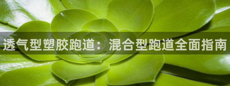 谈球吧体育app登陆不上：透气型塑胶跑道：混合型跑道