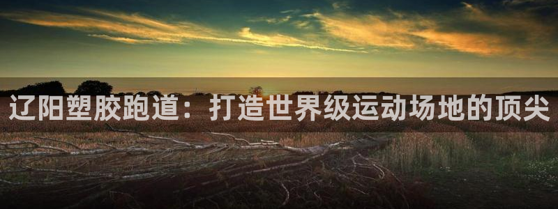 谈球吧官网app下载：辽阳塑胶跑道：打造世界级运动场