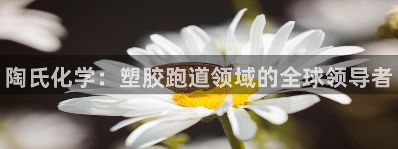 谈球吧怎么充值：陶氏化学：塑胶跑道领域的全球领导者