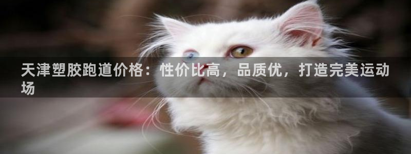 谈球吧体育app下载官网手机版苹果：天津塑胶跑道价格：性价比高，品质优，打造完美运动
场