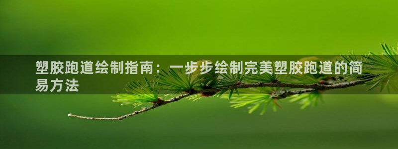 谈球吧是否诈骗：塑胶跑道绘制指南：一步步绘制完美塑胶