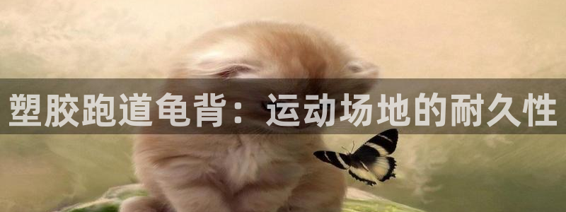谈球吧体育app官网：塑胶跑道龟背：运动场地的耐久性