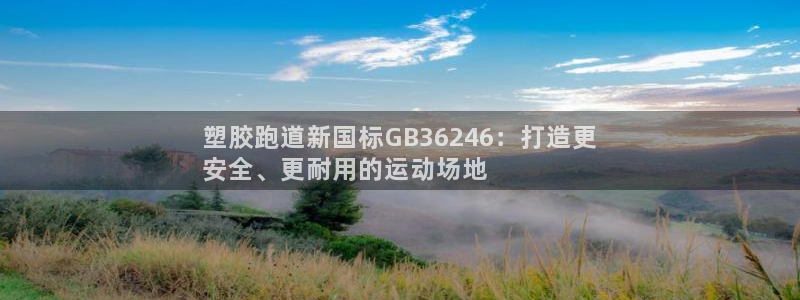 谈球吧官网在线入口免费观看高清视频：塑胶跑道新国标G