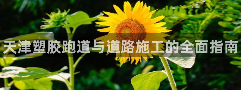 谈球吧app赛事分析报告模板：天津塑胶跑道与道路施工的全面指南