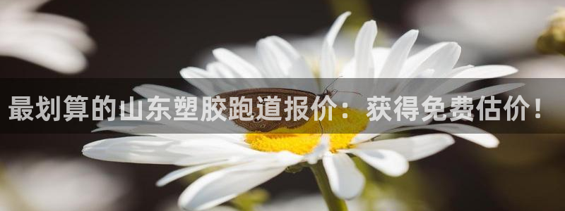 谈球吧体育在线：最划算的山东塑胶跑道报价：获得免费估
