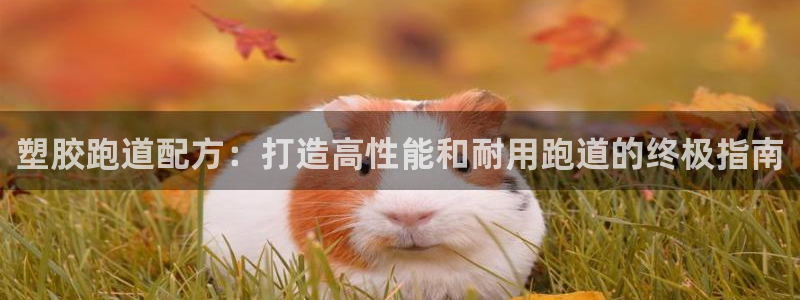 谈球吧官网在线入口免费观看视频网站：塑胶跑道配方：打