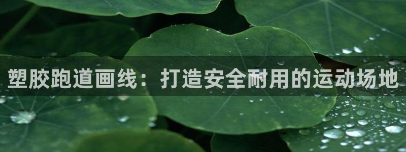 谈球吧的聊天软件叫什么名字：塑胶跑道画线：打造安全耐