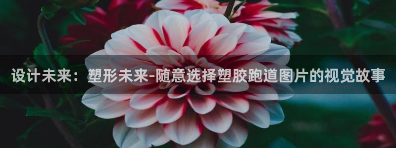 谈球吧属于哪个旗下