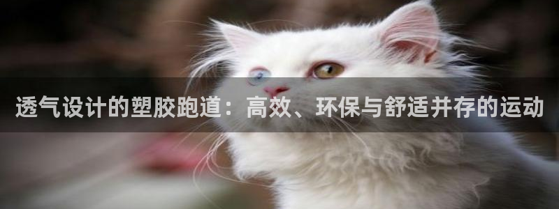 谈球吧体育app下载官网手机版安装