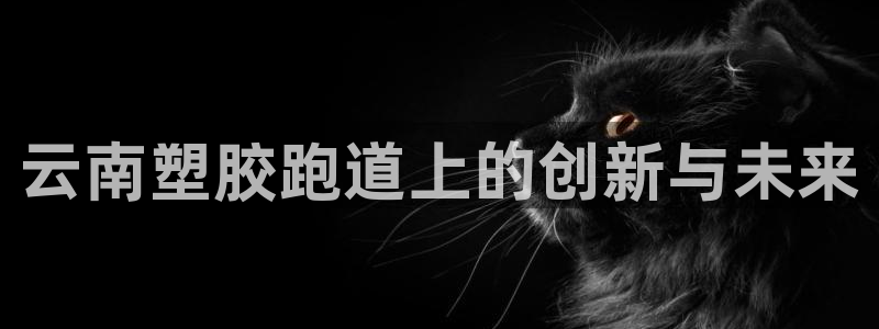 谈球吧网站
