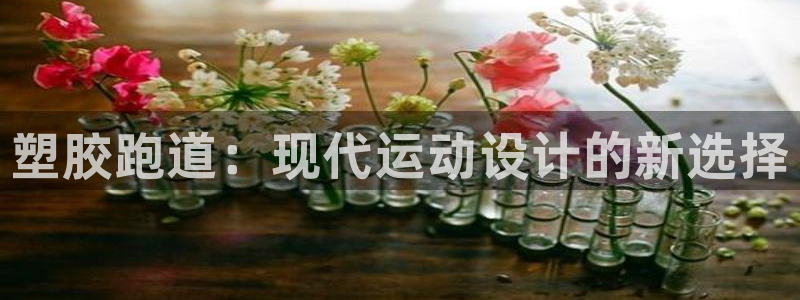 谈球吧