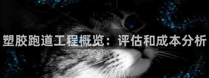 谈球吧app赛事分析报告怎么做