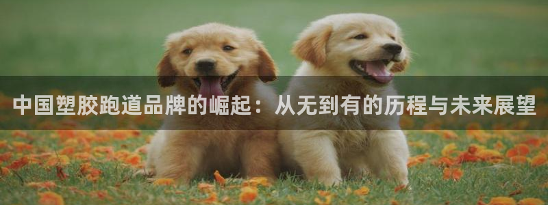 谈球吧app下载ios