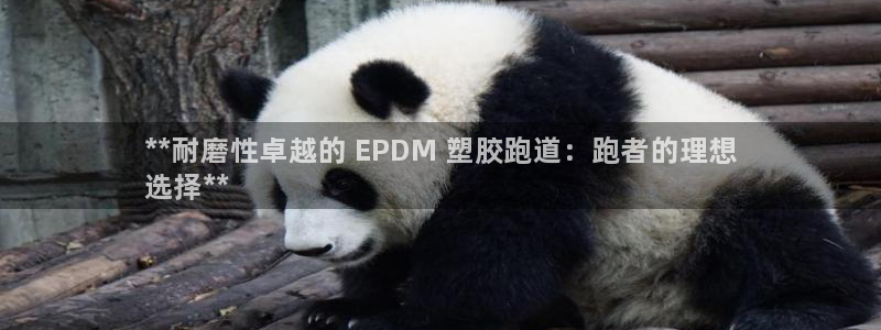 谈球吧不出款：**耐磨性卓越的 EPDM 塑胶跑道：跑者的理