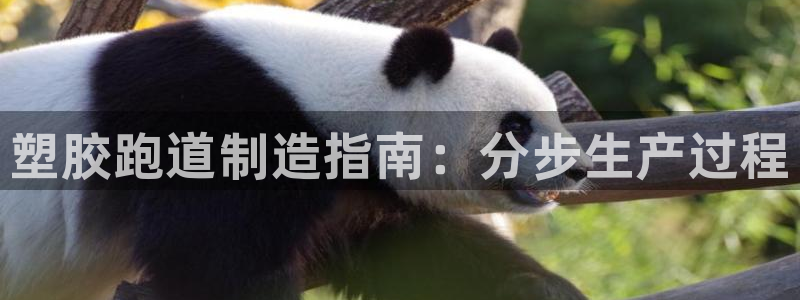 谈球吧平台app下载网址是什么：塑胶跑道制造指南：分步生产过