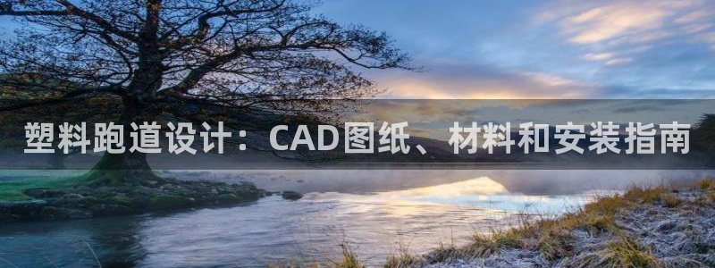 谈球吧官网首页：塑料跑道设计：CAD图纸、材料和安装