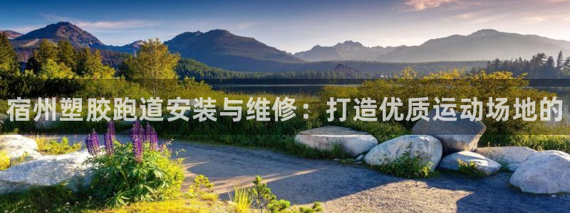 谈球吧(中国)官方网站：宿州塑胶跑道安装与维修：打造优质运动场地的