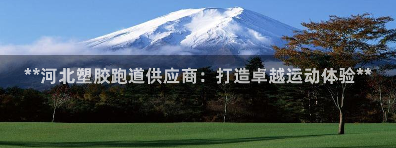 谈球吧官网入口：**河北塑胶跑道供应商：打造卓越运动体验**