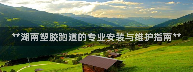 谈球吧论坛：**湖南塑胶跑道的专业安装与维护指南**