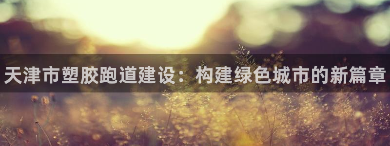 谈球吧平台：天津市塑胶跑道建设：构建绿色城市的新篇章